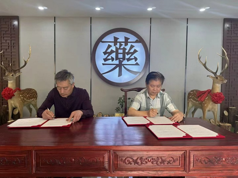 图片 3.png